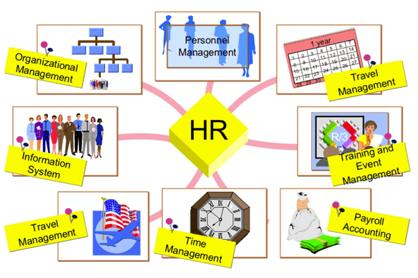 SAP Human Capital Management  (HCM) & Success Factor Implementation And support