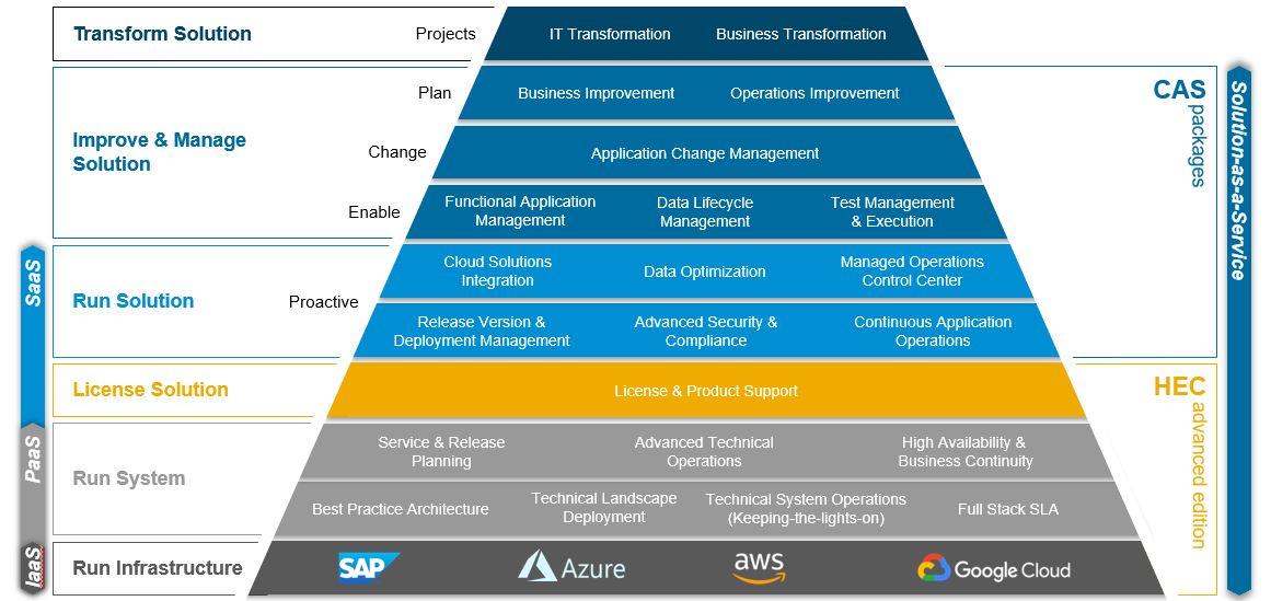 SAP Support & Managed Services